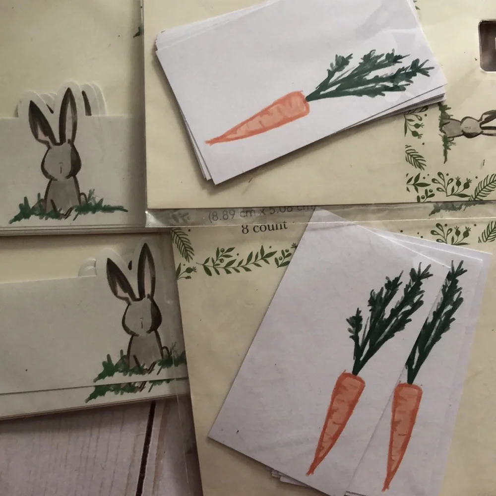 Target Easter Bunny paper napkin rings & carrot place cards watercolor new